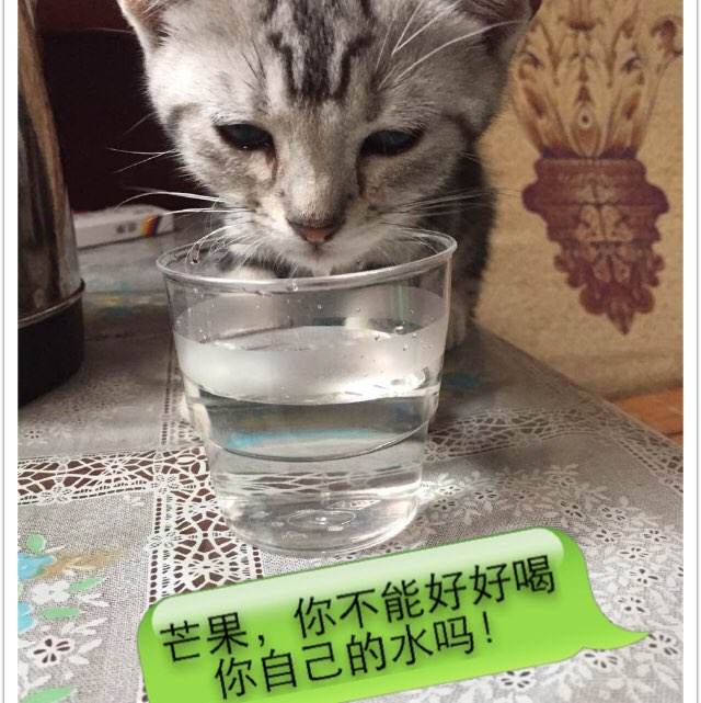 集体不动产权证可以正常过户